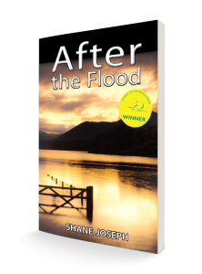 after the flood