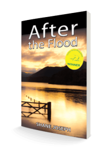 after the flood